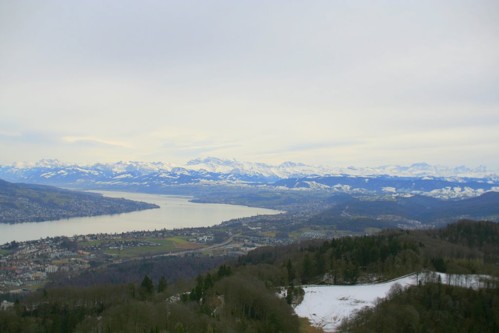 Background-image