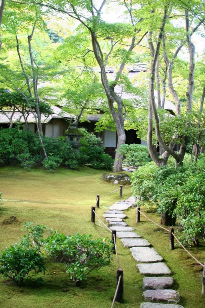Background-image