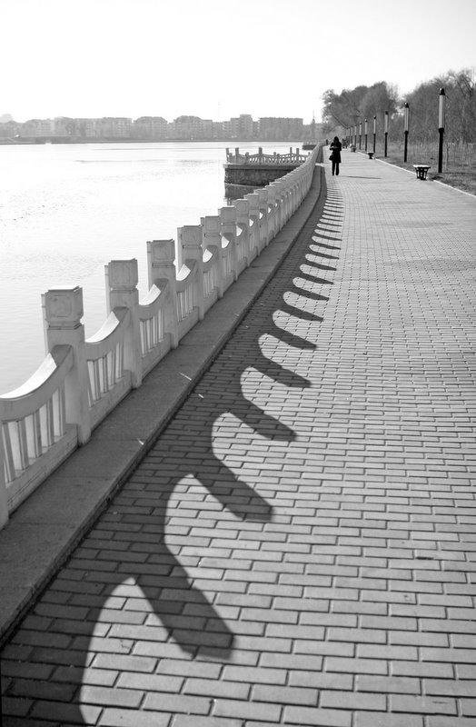 Shadow spine