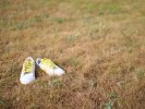 The last days of summer