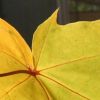 Bild 068 01